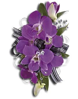 Purple Promise Wristlet | Corsages | Same Day Flower Delivery | Teleflora